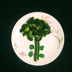 A picture of Tree Salad.