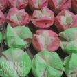 Bolu Kukus Mekar tanpa Soda