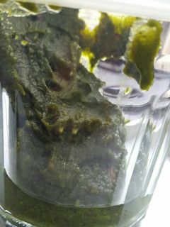 Foto resep Basic Pesto Basil