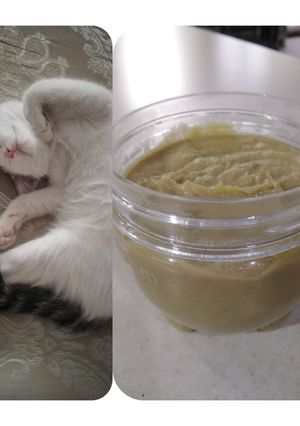 عکسی از دستور غذای پت. 🐱🐱