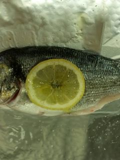 Una foto de Doradas al limón en papillote