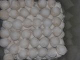 snow ball *putrisaljumede*