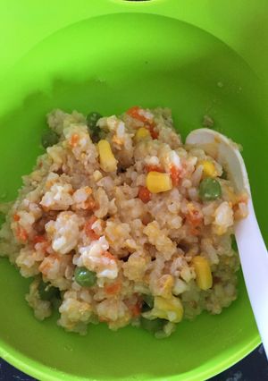 Foto resep Nasi ayam (MPASI)