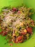 Ensalada Fresca de hortalizas y atún!
