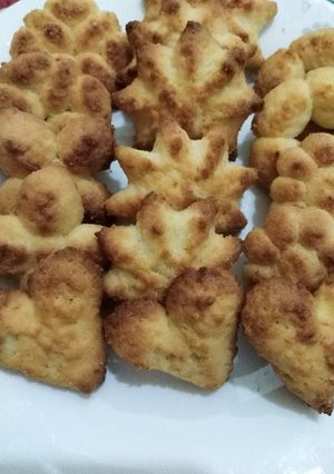 صورة لوصفة بيتفور بجوز الهند عالمكبس