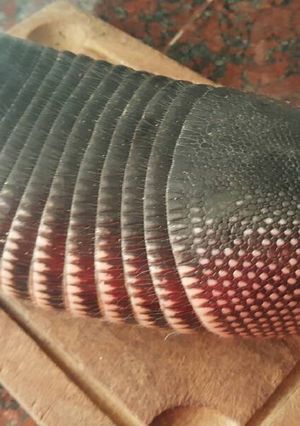 Una foto de Mulita al horno