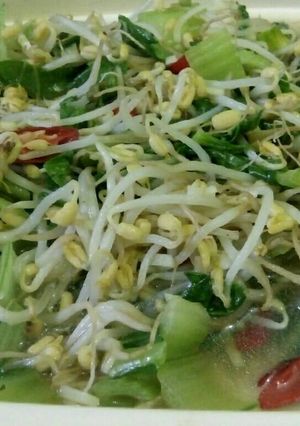Foto resep Tumis Bakcoy Tauge