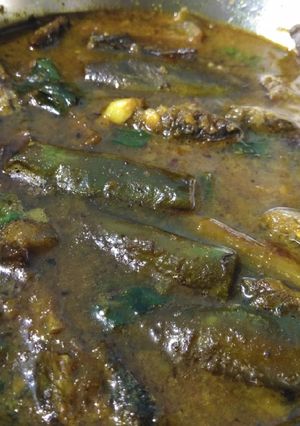A picture of Brinjal Tyangra (Begun Tengra).