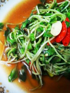 รูปของ ผัดต้นอ่อนทานตะวัน