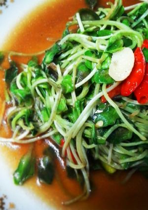 รูปของ ผัดต้นอ่อนทานตะวัน