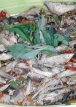 Foto resep Ikan Tongkol bumbu rica_rica