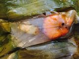 Bánh bột lọc lá