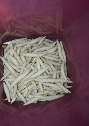 Foto resep Satelju sagu telur keju (gabus telur)