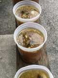 Turkey Vegetable Soup