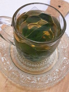 Foto resep Fresh Mint Tea