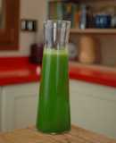 Lemon and Cucumber Juice for Weight Loss {FitKen}