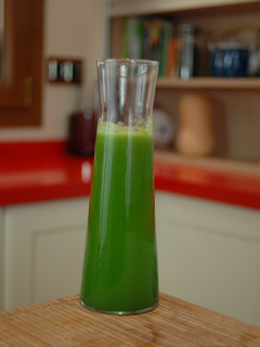 A picture of Lemon and Cucumber Juice for Weight Loss {FitKen}.