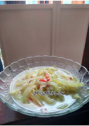 Foto resep Lodeh Manisa/Labu Siam