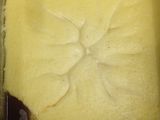 Puding caramel