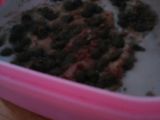 ChocoChizkek ala Evi