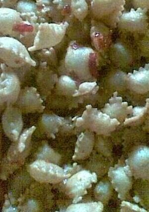 Foto resep Kerupuk bantal pedas
