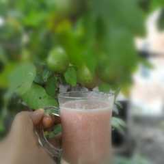 รูปของ jus jambu biji atau jus buah geulima di Aceh