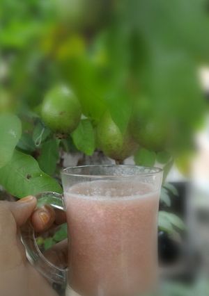 Foto resep jus jambu biji atau jus buah geulima di Aceh