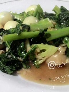 Foto resep kailan brokoli saus tiram