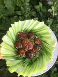 Baby Bok Choy with Shiitake Mushroom Oyster Sauce (Vegetarian)