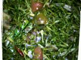 Oseng Oseng Tauco Kembang Kates