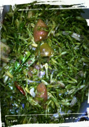 Foto resep Oseng Oseng Tauco Kembang Kates