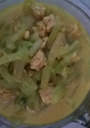 Foto resep Sayur Santan Manisa Tempe