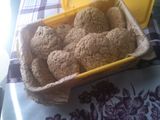 Galletas integrales Avena Nuez