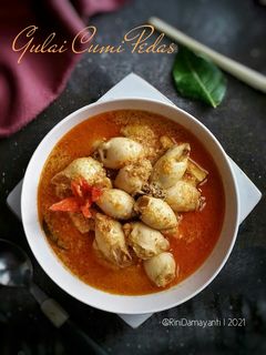 Foto resep Gulai Cumi Pedas (Isi Tahu Telur)