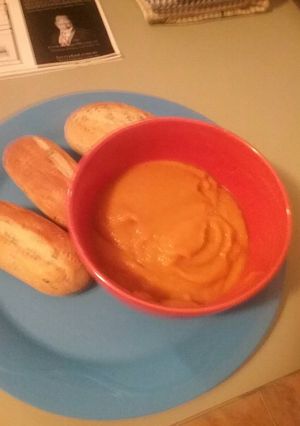 A picture of Home made pumpkin and leak soup.