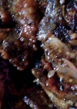 Foto resep Ikan Tongkol saus tomat no MSG
