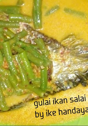 Foto resep gulai patin salai