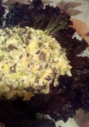A picture of chicken salad with diced mangos.