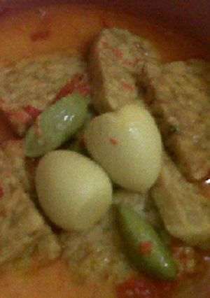 Foto resep Sayur Santan Tempe