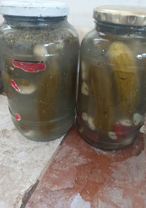 عکسی از دستور خیار شور