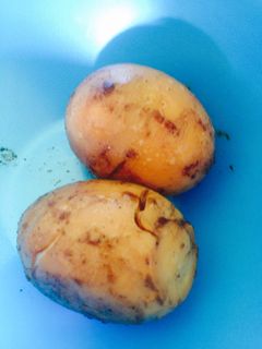 Foto resep Telur bacem