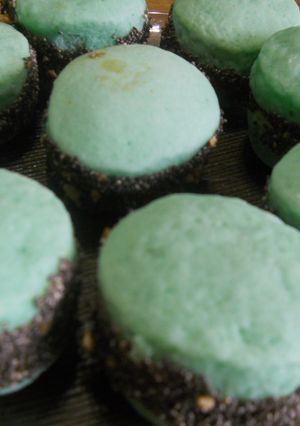 Una foto de Alfajores de fecula de maiz marcianos