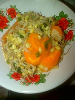 Foto resep TUMIS TOGE WORTEL SEDERHANA