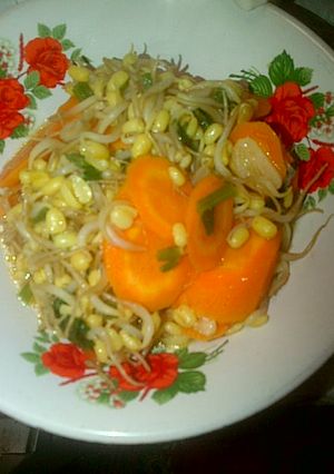 Foto resep TUMIS TOGE WORTEL SEDERHANA