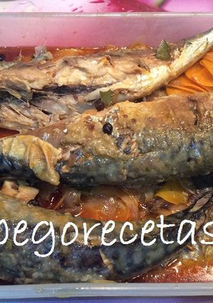 Una foto de Caballas en escabeche