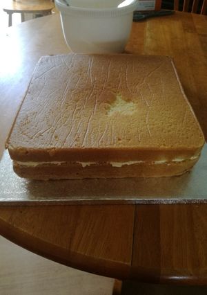 A picture of Vanilla cake with lemon buttercream.