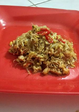 Foto resep tumis tempe tauge