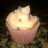 Cupcakes de Frambuesa 