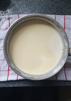 A picture of Custard.