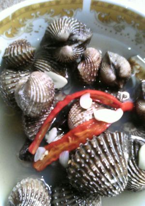 Foto resep kerang rebus medan